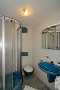 Grünberger superior - 56