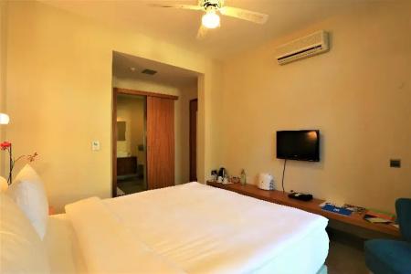 The Lifeco Bodrum Well-Being Detox Center And Vegan - 53