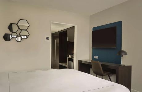 Park Plaza Eindhoven - 28