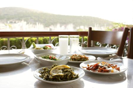 Yalcin - 12