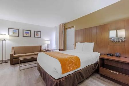 Comfort Suites At Sabino Canyon - 88