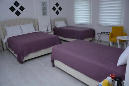 Bilge Suite - 39