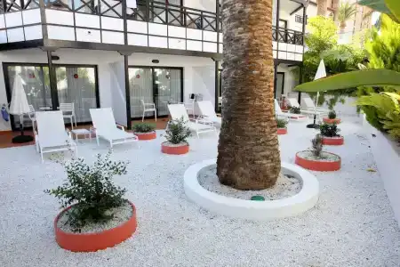 Vanilla Garden Boutique - Adults Only - 57