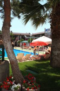 Delfi Spa & Wellness Center - 13