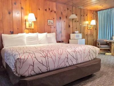 Park and Cabins - 150