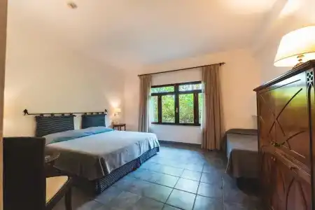 Alberi Del Paradiso - 120