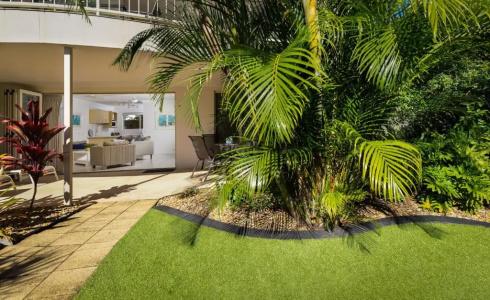 Noosa River Palms - 109