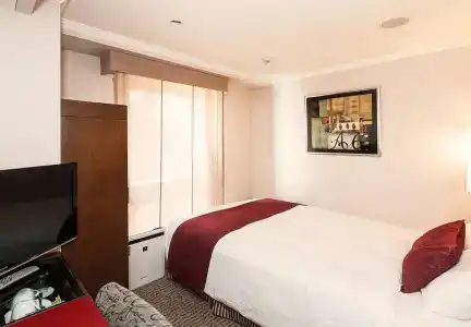 Sotetsu Fresa Inn Tokyo-Akasaka - 15