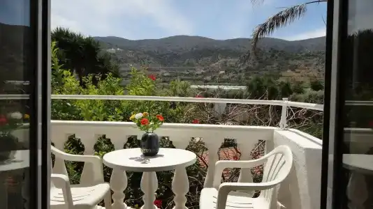 Ibiscus Malia - 5