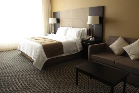 Holiday Inn Mexico Santa Fe, An Ihg - 13
