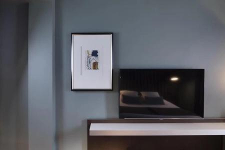 Hôtel Diana Dauphine - 52