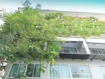 Baan Tamnak - 0