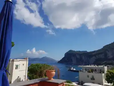 Palatium Mari - 41