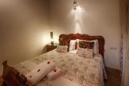 Riad Toyour- Riad of birds - 5