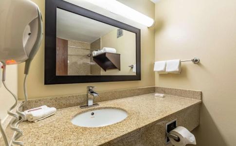 Red Roof Inn Plus+ & Suites Houston – Iah Airport Sw - 9