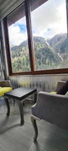 Ayder Doga Resort - 79