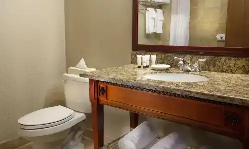 Holiday Inn - Portland - Columbia Riverfront, an IHG - 88