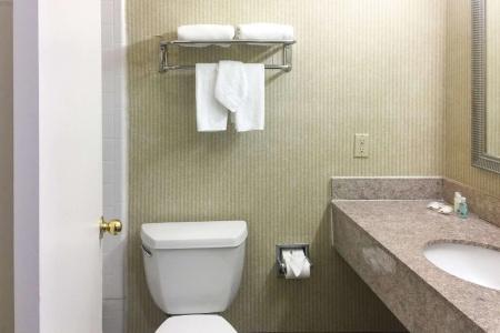 Quality Inn & Suites Oceanside Near Camp Pendleton - 38