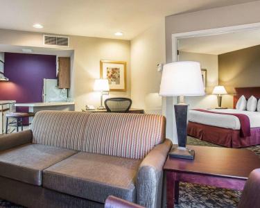 Quality Suites Atlanta Buckhead Village North - 5