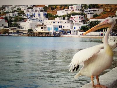 Dionysos Luxury Mykonos - 21