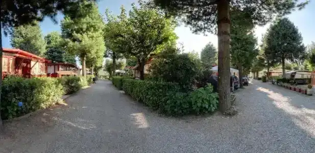 Camping Lido Verbano - 53