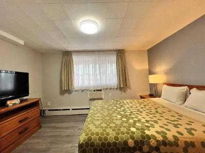 Econo Lodge Village - 81