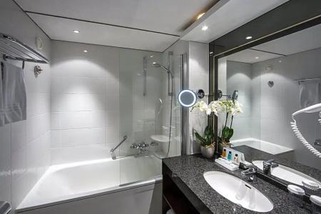 Crowne Plaza Maastricht, An Ihg - 100