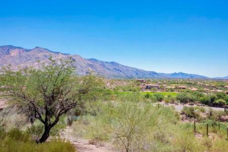 The Westin La Paloma Resort & Spa - 100