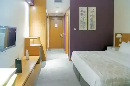 Ramada Plaza by Wyndham Istanbul Asia Airport - 40