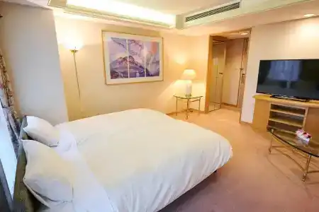 Utsunomiya Tobu Grande - 30