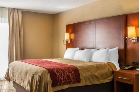 Comfort Inn Savannah - 19
