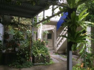Shirahama - 28
