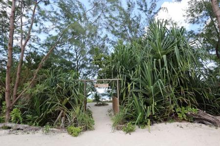 Kivuli Beach - 41