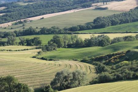 Agriturismo Cantagalli - 51