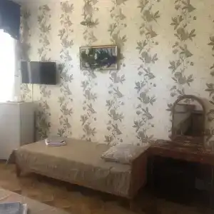 Алина - 12