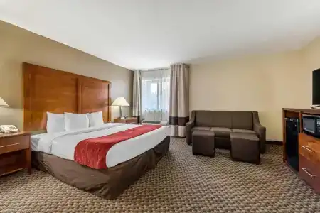 Comfort Inn South - 40