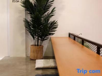 Tropical Summer Hostel - 21