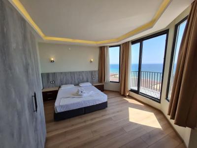 Palmera - 51