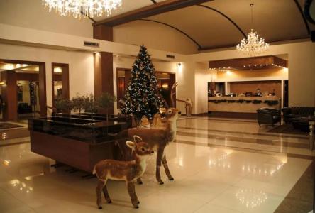 Valis Resort - 14
