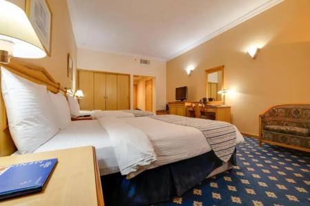 Grand Continental Flamingo - 36