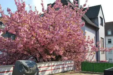Am Sportpark - 141