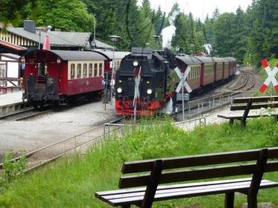 Pension Gelpkes Mühle - 42