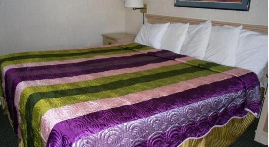 Vagabond Inn - 4