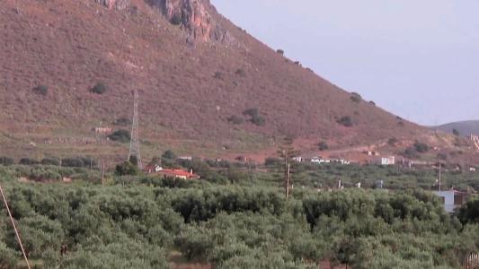 Despo - All Inclusive - 20