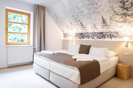 Amenity & Resort Špindlerův Mlýn - 94