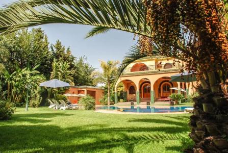 Riad Noumidya - 16