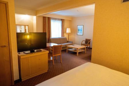 Holiday Inn Gent Expo, An Ihg - 23