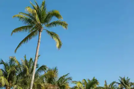 Hilton Garden Inn / The Keys Collection - 25