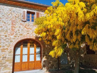 Antico Borgo Frosini - 76