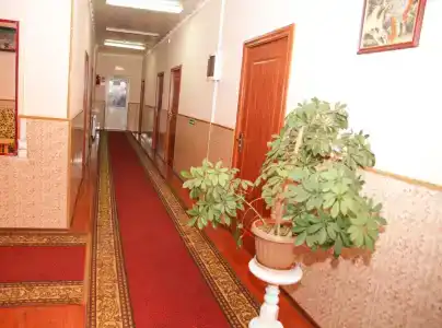Оазис - 9